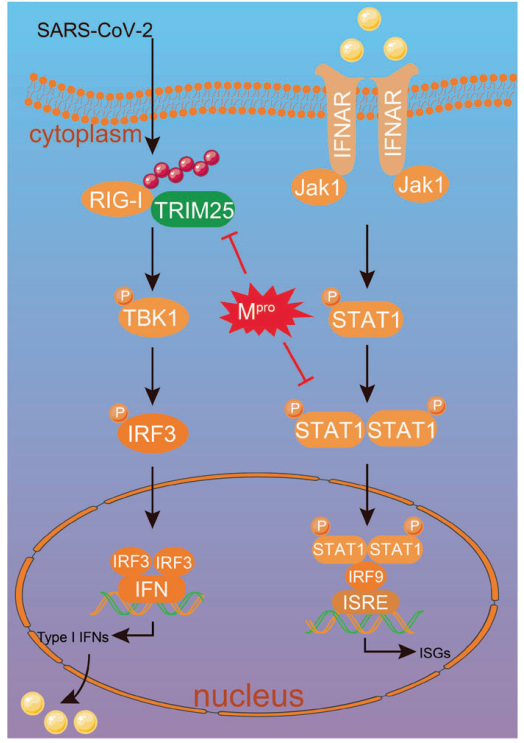 ��ҳ|ng������Ϸ�й����Źٷ���վ