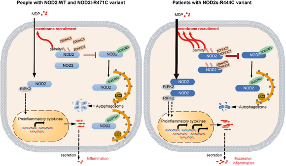 ��ҳ|ng������Ϸ�й����Źٷ���վ