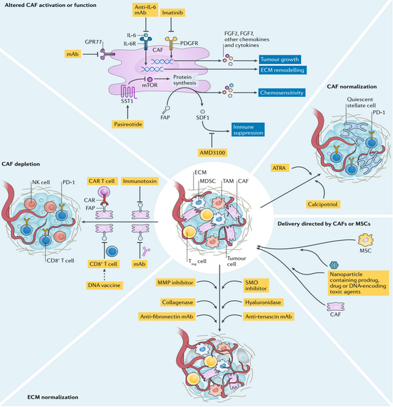 ��ҳ|ng������Ϸ�й����Źٷ���վ