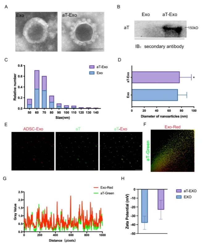 F61D3D88AE4E7AAC2B268520D0E_8F94BEFC_4A8CC