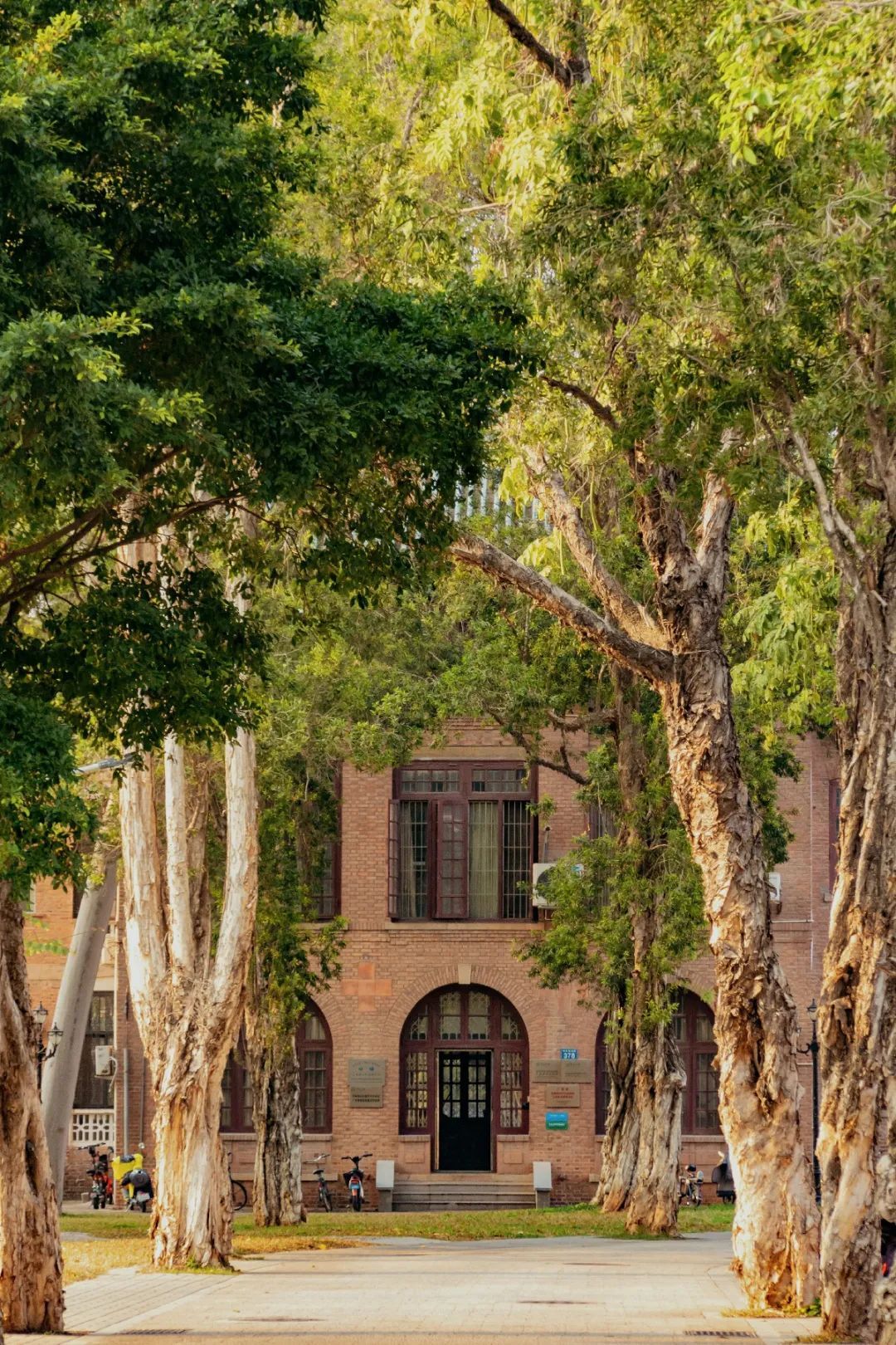 8ADE82766823218FB801C98E37E_33C752F9_7382E ͼƬ