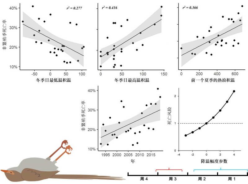 131AAD0D48E72DF20E44E7B7CE8_A4F17E09_C227 131AAD0D48E72DF20E44E7B7CE8_A4F17E09_C227