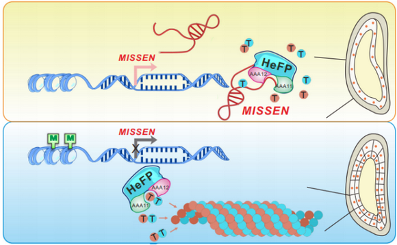 ��ҳ|ng������Ϸ�й����Źٷ���վ