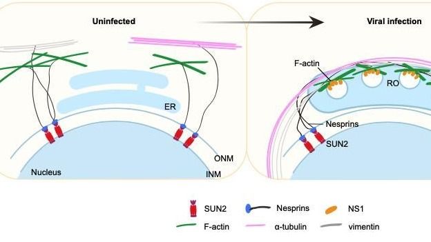 ��ҳ|ng������Ϸ�й����Źٷ���վ