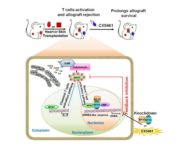 2D70BEFD46D5BE08D6DBBECA90B_9B50ED76_EF3F.jpg?e= Ê×Ò³|ngµç×ÓÓÎÏ·Öйú¼¯ÍŹٷ½ÍøÕ¾