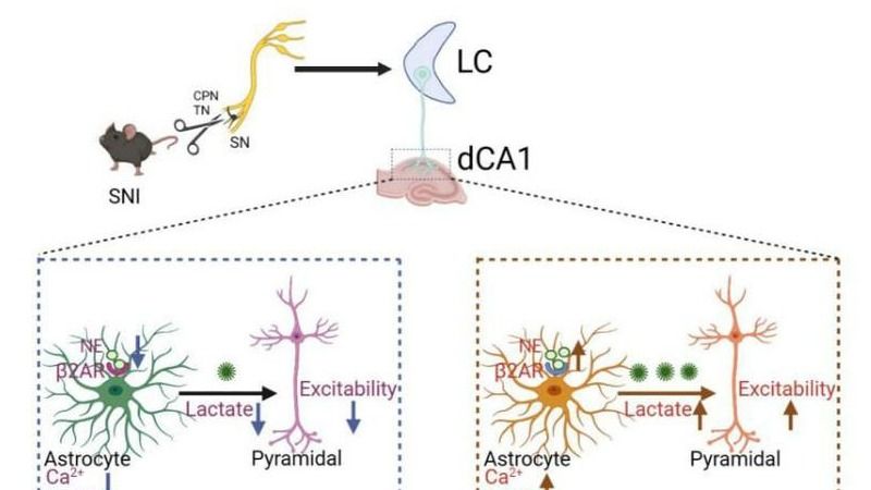 ��ҳ|ng������Ϸ�й����Źٷ���վ