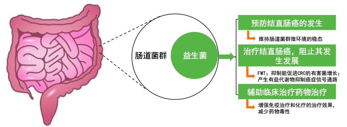 03D1CA8EA28D69D8DA4433DAADE_D966F267_EE7C