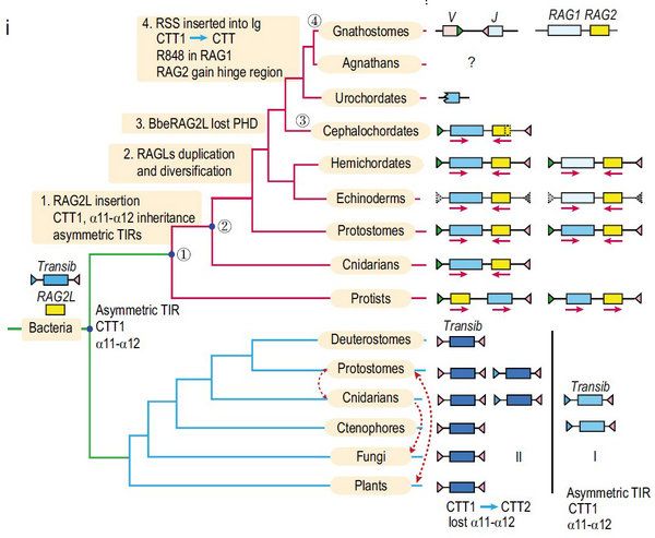 C005F5C453C6FB0336089770BE6_F168ED97_DE1F