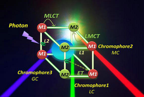 ��ҳ|ng������Ϸ�й����Źٷ���վ