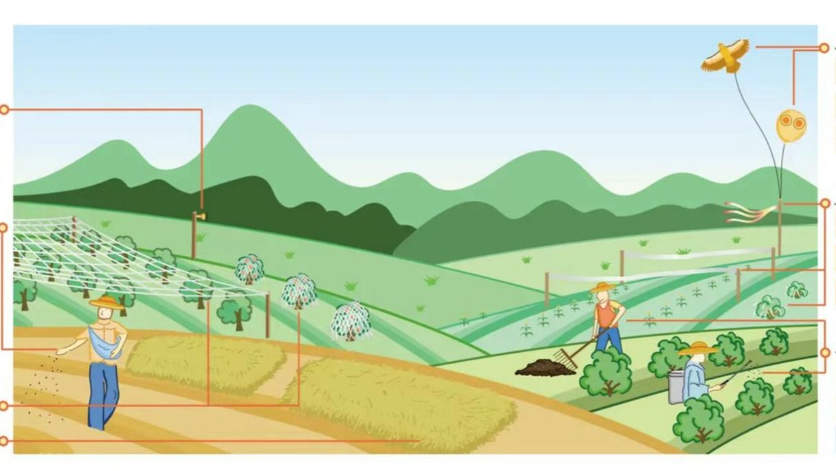 ��ҳ|ng������Ϸ�й����Źٷ���վ