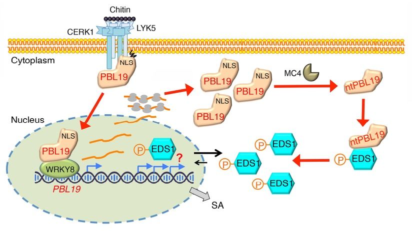��ҳ|ng������Ϸ�й����Źٷ���վ