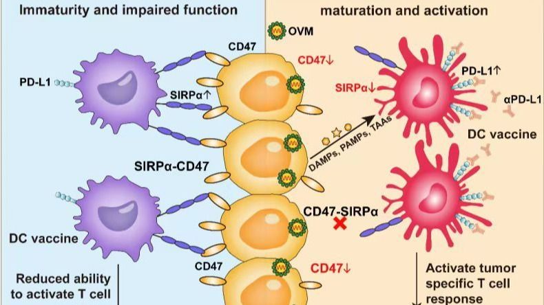 ��ҳ|ng������Ϸ�й����Źٷ���վ