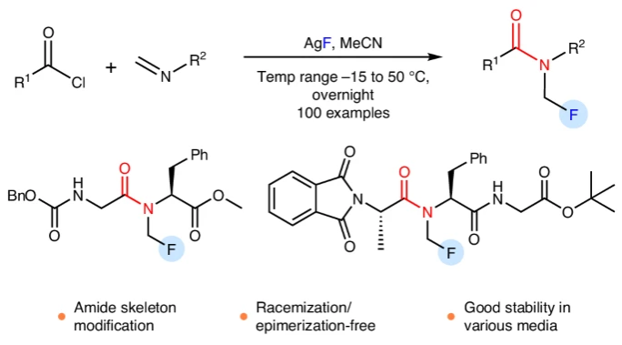 59D5FC978D248C529CD7E399106_0A8D79A1_115A5