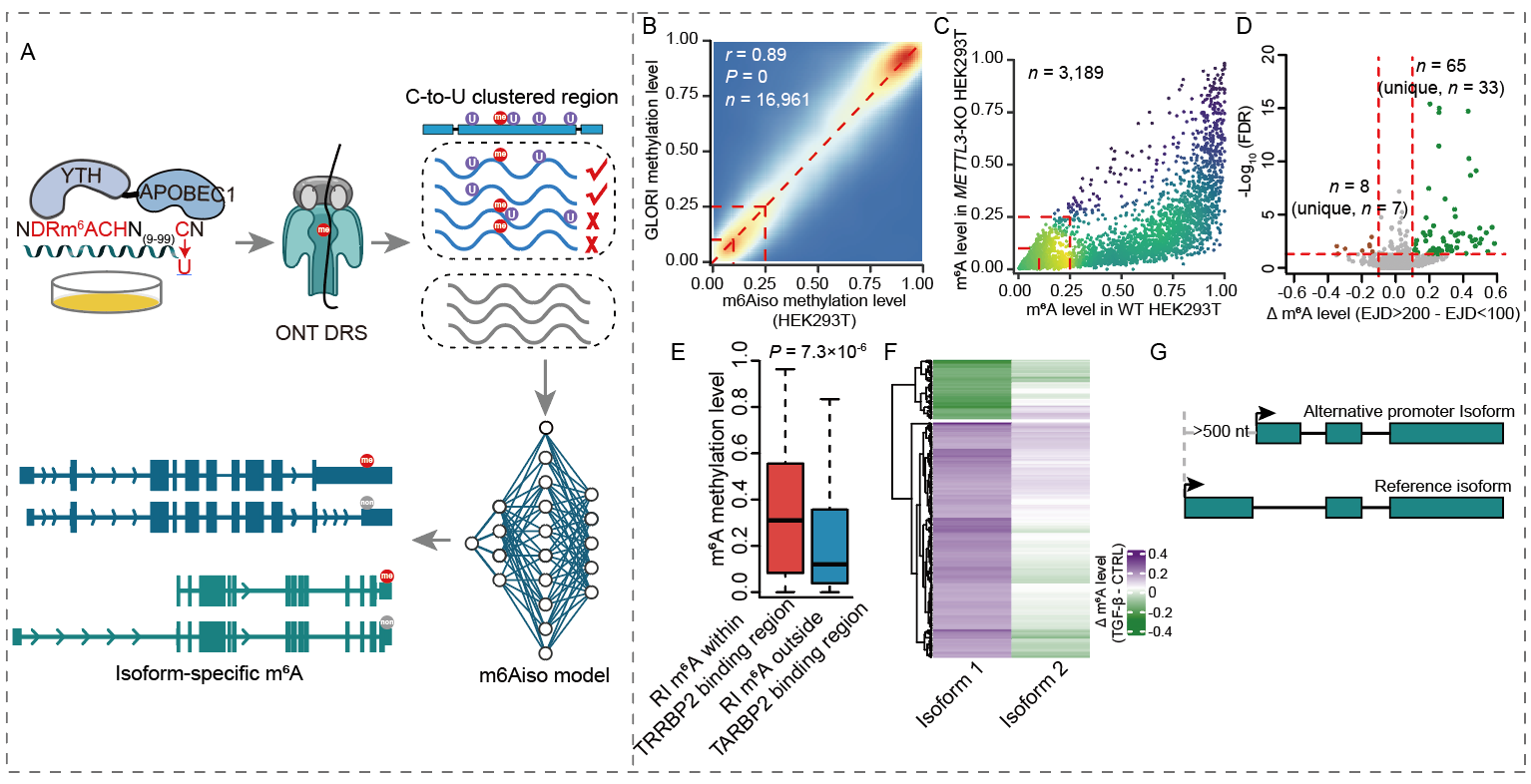 6A978A6D1E4AA8B4A4F267CCC6C_A14CACD7_31942