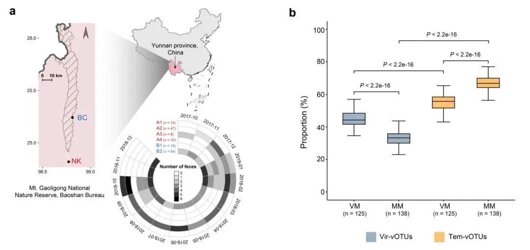 ��ҳ|ng������Ϸ�й����Źٷ���վ