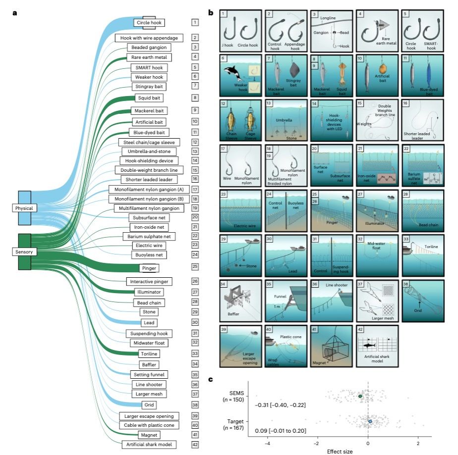 ��ҳ|ng������Ϸ�й����Źٷ���վ