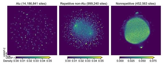 C8D0E4C92917E543861BD012B1D_E0007473_664D