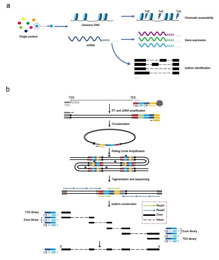 E63DBAF144E03305256A93E392A_016E9A81_DDA1