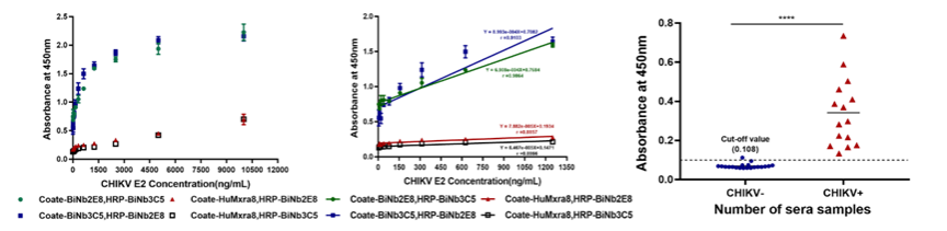 21CF8E6CE5CA9A393625FCD58B8_7A5173A4_C4B6