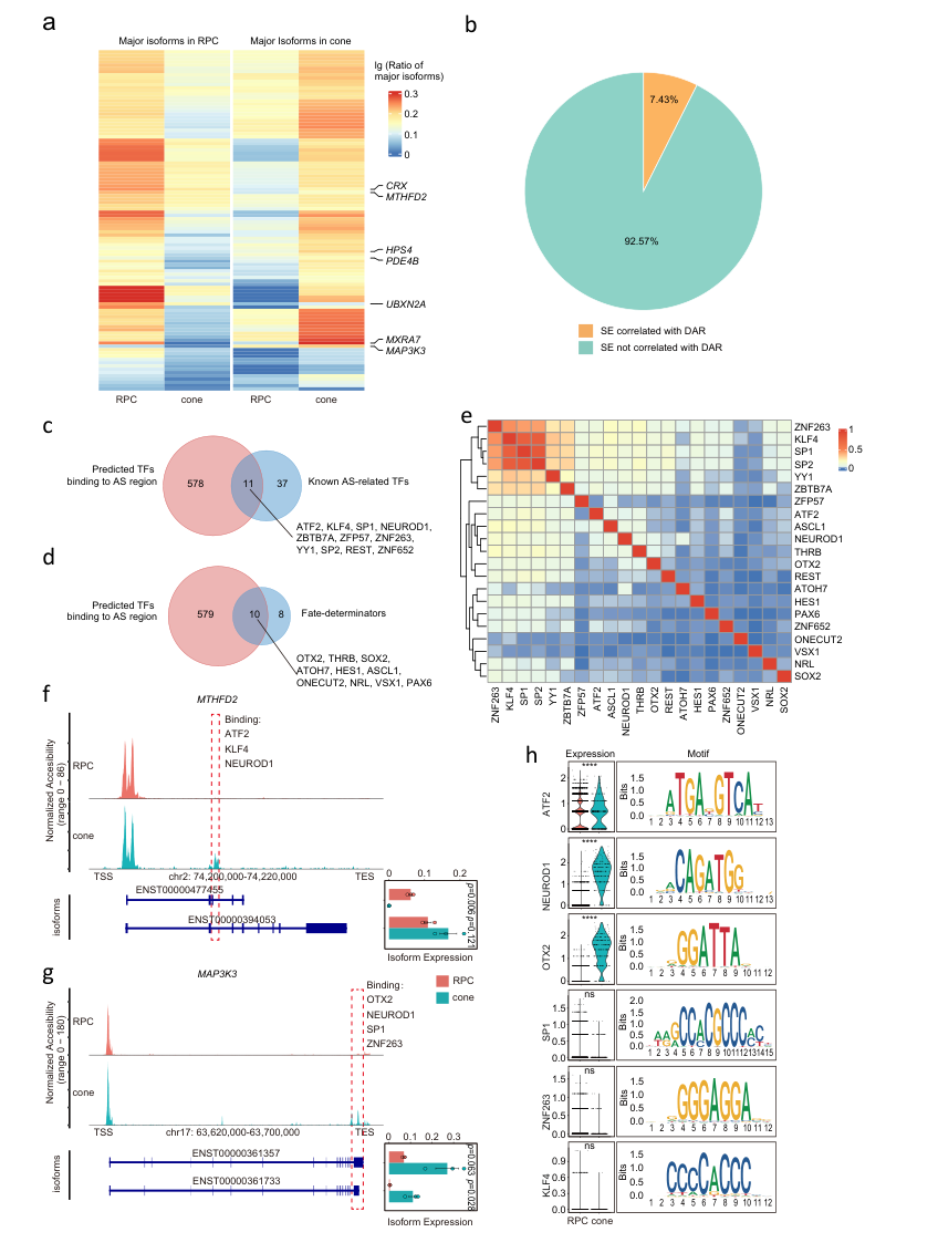 6306E757C46BDA772A668401164_137A2BEF_2A3B1