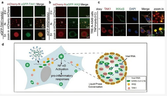��ҳ|ng������Ϸ�й����Źٷ���վ