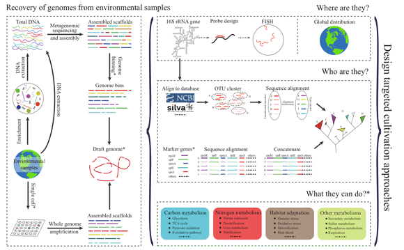 ��ҳ|ng������Ϸ�й����Źٷ���վ