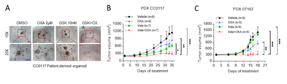 ��ҳ|ng������Ϸ�й����Źٷ���վ