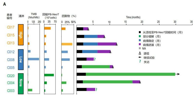 C44952C3C0F7627B52EE5883190_2A0272D8_8ED9 C44952C3C0F7627B52EE5883190_2A0272D8_8ED9