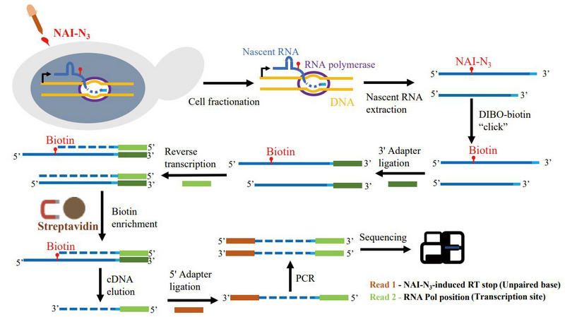 E05F0C7663B7F76072D45F89BB9_5770F87E_BAFA