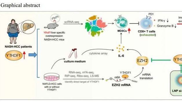 ��ҳ|ng������Ϸ�й����Źٷ���վ