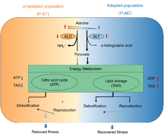 66E362DBBD611D14AF567BCB393_E3F37F81_19574