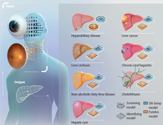 ��ҳ|ng������Ϸ�й����Źٷ���վ