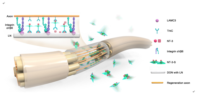 4EDE2F9E2995BAC2942B7C81330_452DD6FE_272B5