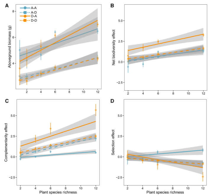 ��ҳ|ng������Ϸ�й����Źٷ���վ