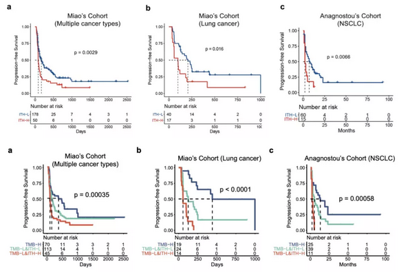 ��ҳ|ng������Ϸ�й����Źٷ���վ