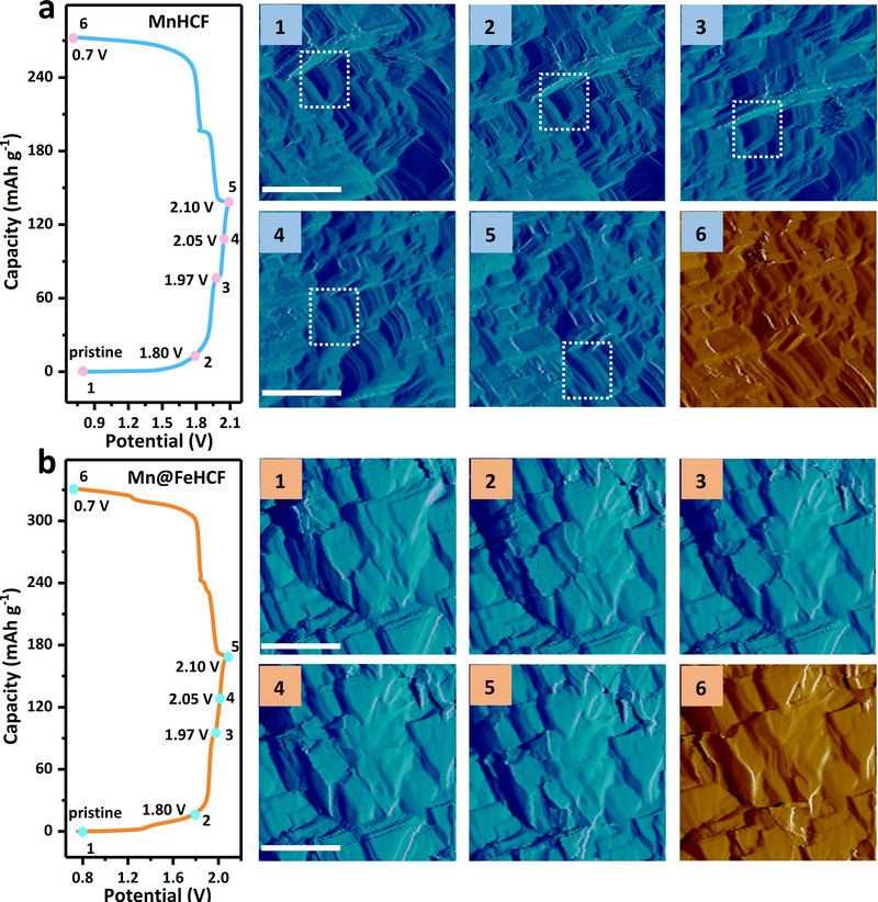 D1A565884FB530814B689723B4E_C7FB31A3_2426D