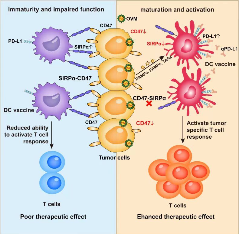 F6E0EC0290AA7C1446E05361F44_3B9B0786_16A97