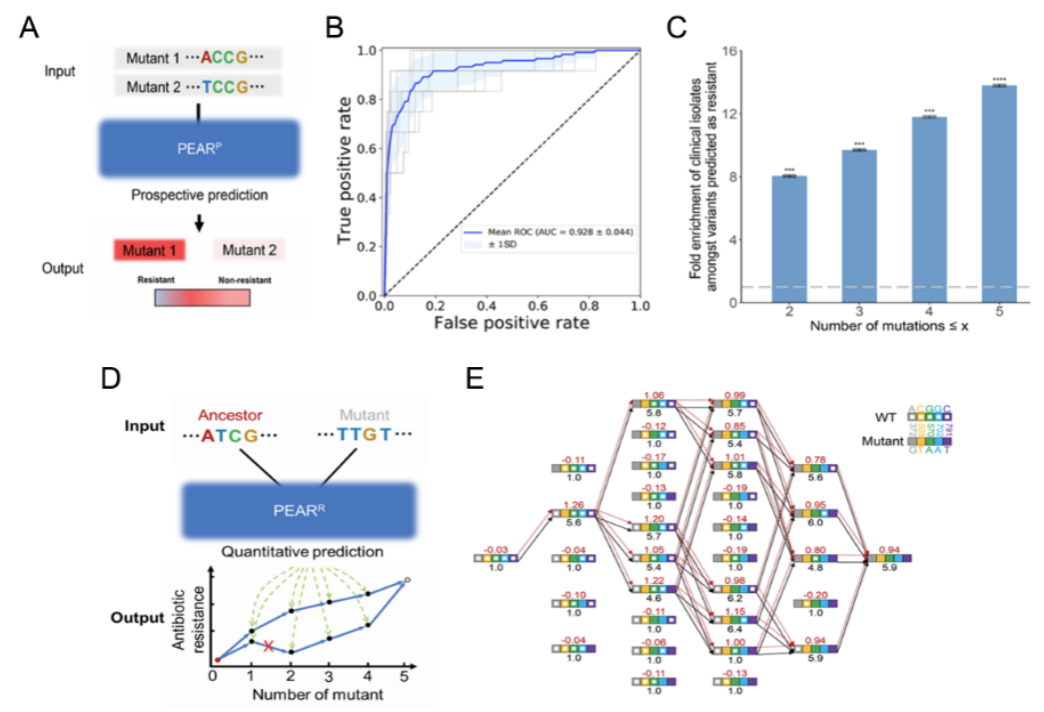 ��ҳ|ng������Ϸ�й����Źٷ���վ