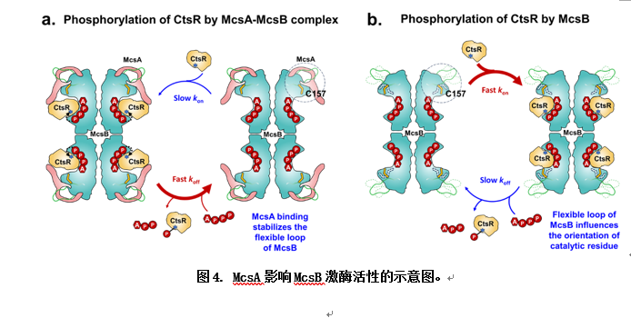 76F9CE7F321ABE2B17F18C30C61_6546A0FA_239A8