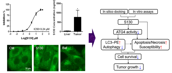 ��ҳ|ng������Ϸ�й����Źٷ���վ