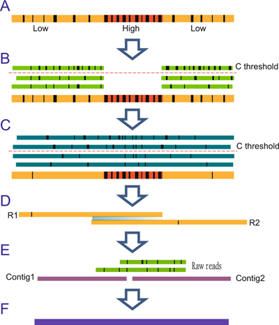 ��ҳ|ng������Ϸ�й����Źٷ���վ