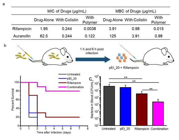 ��ҳ|ng������Ϸ�й����Źٷ���վ