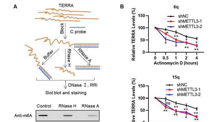 ��ҳ|ng������Ϸ�й����Źٷ���վ