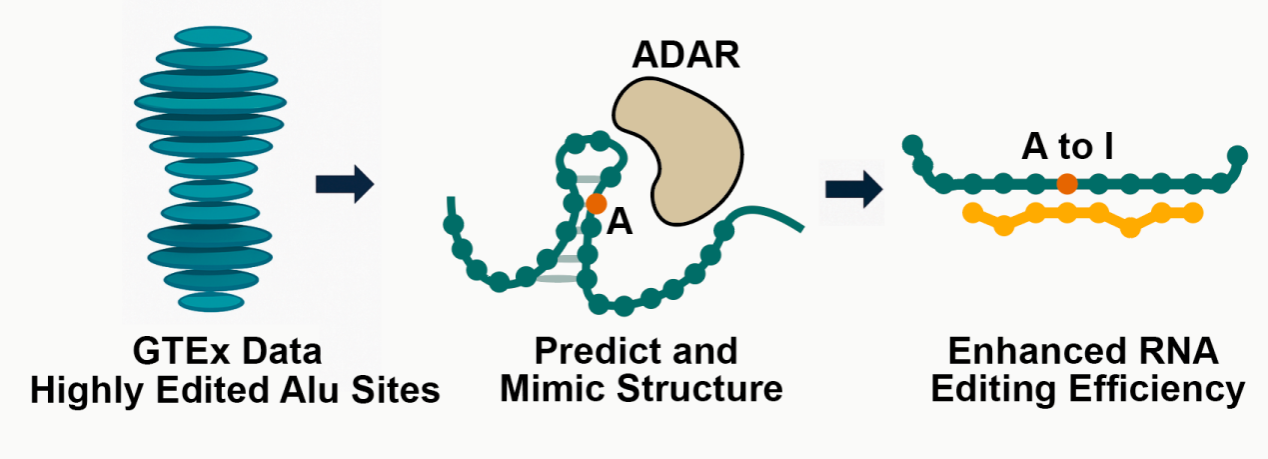 75BD19A56F08BEAC3CEF7234815_BEAE6EFF_2F1EF