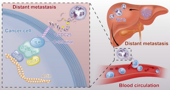 ��ҳ|ng������Ϸ�й����Źٷ���վ