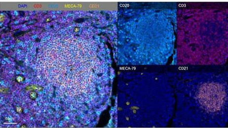 ��ҳ|ng������Ϸ�й����Źٷ���վ