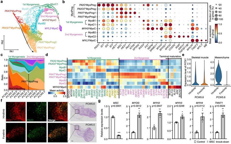 5A8A5B265EC59A98D5DB2E5C720_A02062BA_17B94
