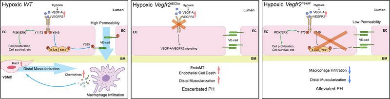 A96F00239B5B401875762896ABE_6692FDFD_7FBA