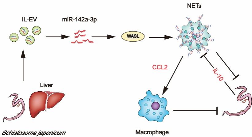 ��ҳ|ng������Ϸ�й����Źٷ���վ