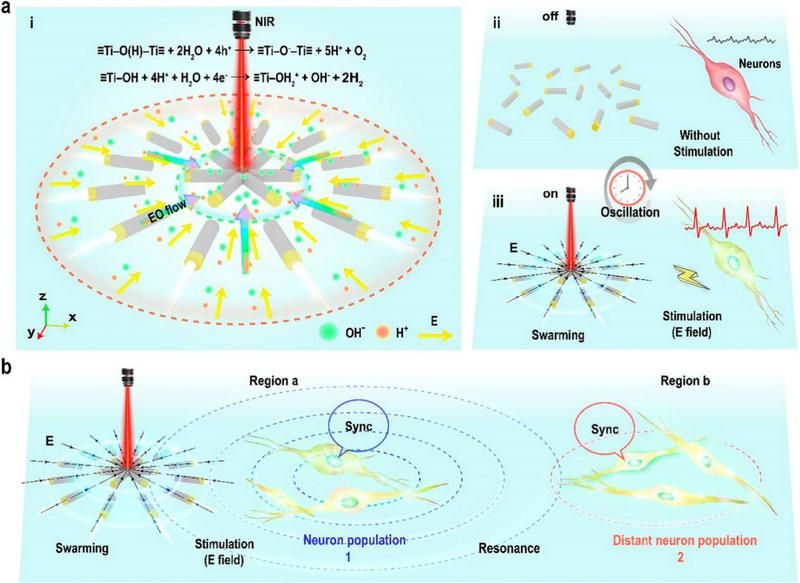 07A514EFCEEFC672500705DBB15_1C23D798_1069F